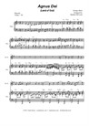 Agnus Dei (Duet for Flute and Bb-Clarinet)