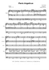 Panis Angelicus (for Brass Quartet and Organ - Alternate Version)