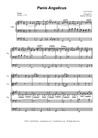 Panis Angelicus (Duet for Violin and Viola - Organ Accompaniment)