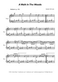 A Walk In The Woods (Piano solo)